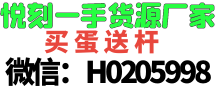 H0205998