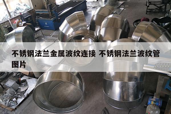 不銹鋼法蘭金屬波紋連接 不銹鋼法蘭波紋管圖片